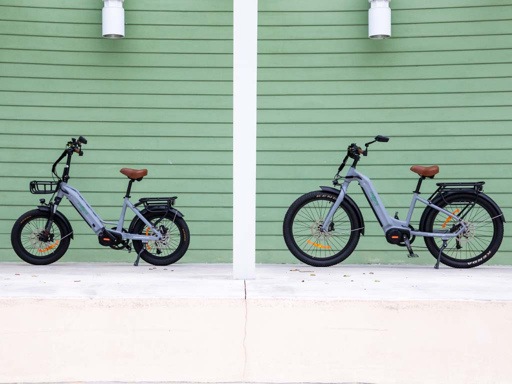 Imagine ebikes side view double